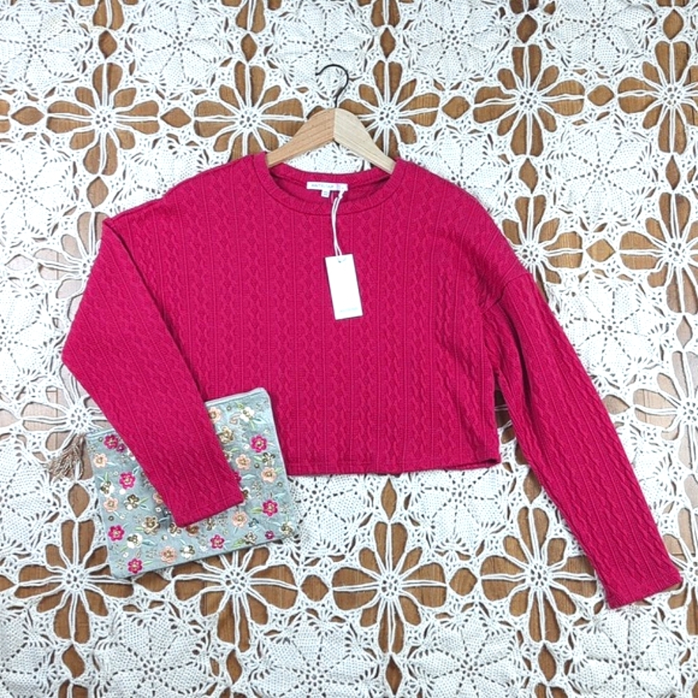 NWT Raspberry Pink Cropped Cable Knit Sweater